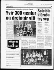 Síða 14