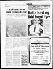 Síða 4