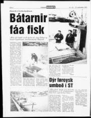 Síða 6