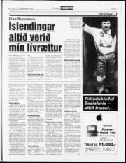 Síða 17