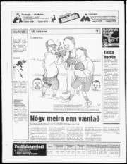Síða 20