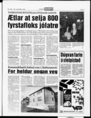 Síða 5