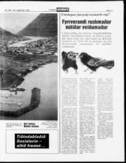Síða 11
