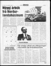 Síða 17