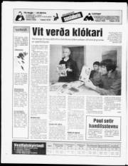 Síða 20