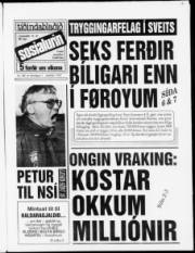 Síða 1