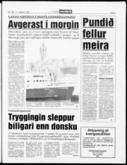 Síða 7