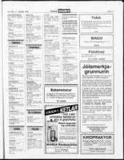 Síða 13