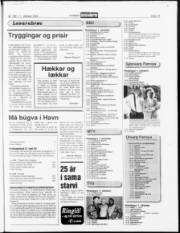 Síða 19