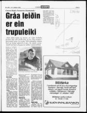 Síða 3