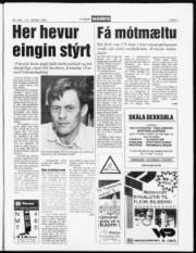 Síða 5