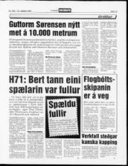 Síða 13