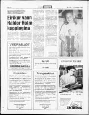 Síða 14
