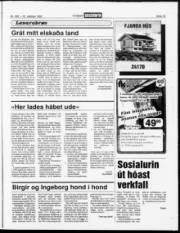 Síða 15