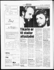 Síða 20