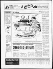 Síða 24