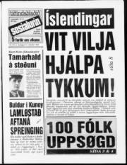 Síða 1