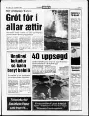Síða 3