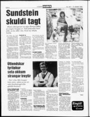 Síða 6