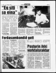 Síða 11