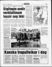 Síða 3