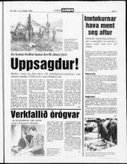 Síða 7