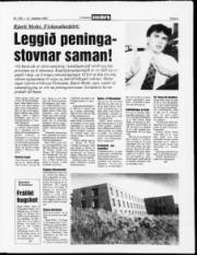 Síða 9