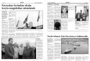 Síða 5