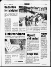 Síða 3