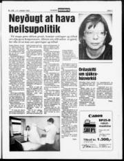 Síða 3