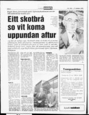 Síða 6