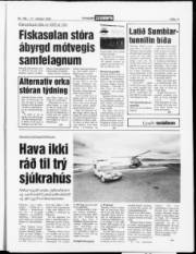 Síða 11