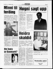 Síða 13
