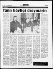 Síða 15