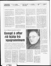 Síða 2