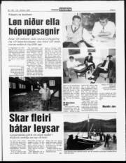 Síða 3
