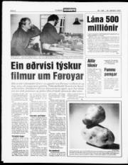 Síða 6