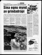 Síða 3