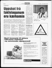 Síða 4
