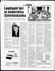 Síða 6