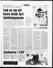 Síða 11
