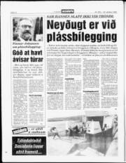 Síða 12