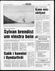 Síða 3