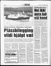 Síða 6
