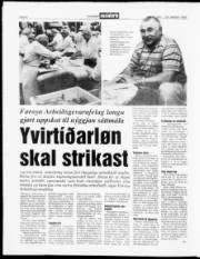 Síða 8