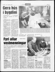 Síða 13