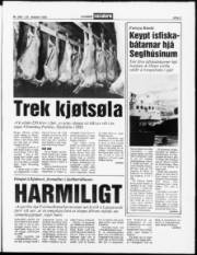 Síða 3