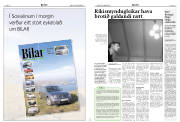 Síða 15