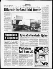 Síða 5