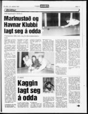 Síða 17